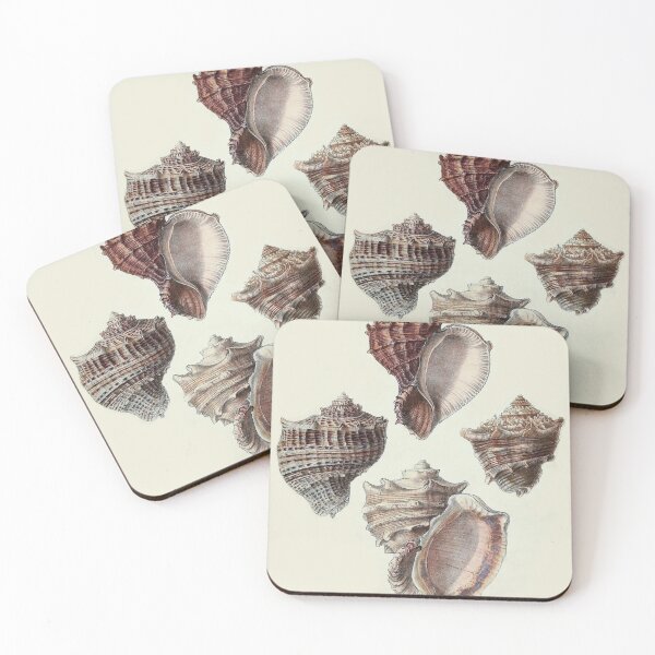 Item preview, Seashells designed and sold by StudioArtNew.