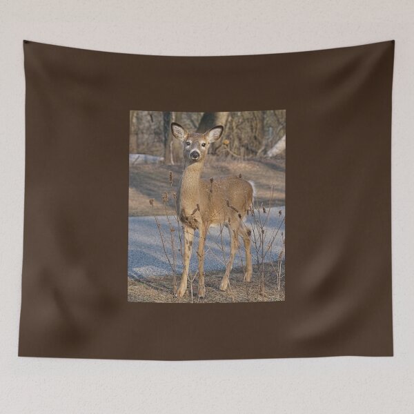 Item preview, Sooooo Darn Cute  designed and sold by Lanis Rossi.