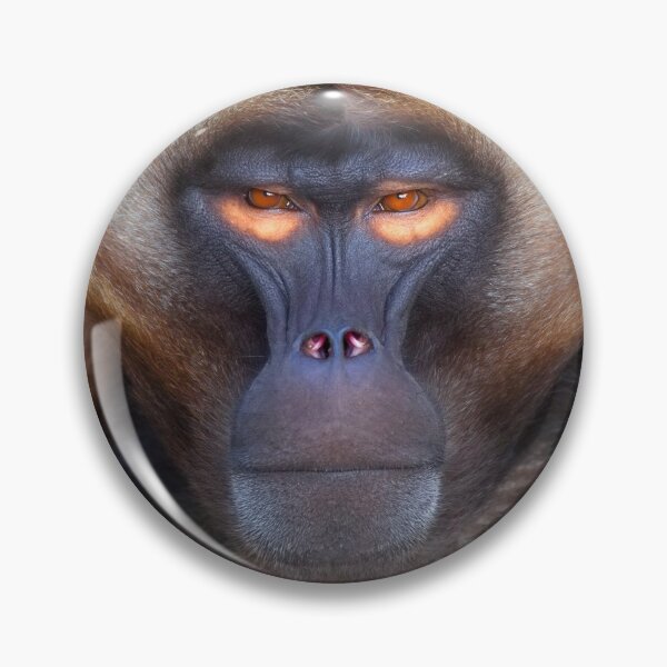 Item preview, APES & MONKEY BUSINESS! designed and sold by JOHNC1.
