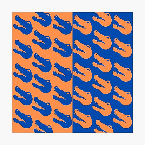 "Orange and Blue Gator Patter" A-Line Dress for Sale by mmag61 | Redbubble