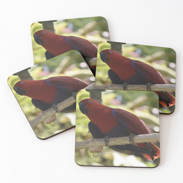 Item preview, Red and Blue Eclectus Parrot designed and sold by Karatefinch.