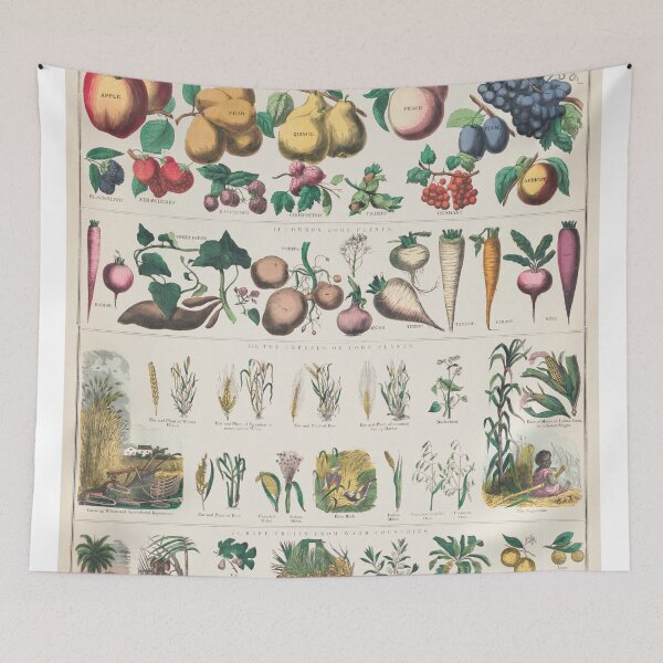 Item preview, Botanical economical uses of plants designed and sold by Flamin' Galah.