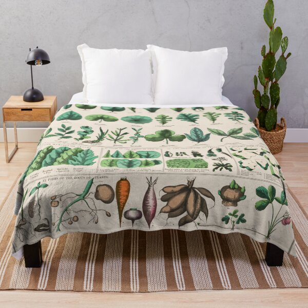 Item preview, Botanical forms of leaves, stems, roots, and flowers (1890) designed and sold by Flamin' Galah.