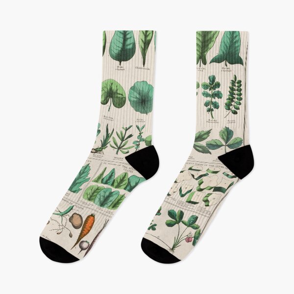 Item preview, Botanical forms of leaves, stems, roots, and flowers (1890) designed and sold by Flamin' Galah.