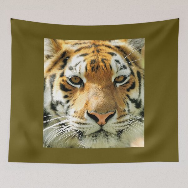 Item preview, MY TIGERS! V1 designed and sold by JOHNC1.