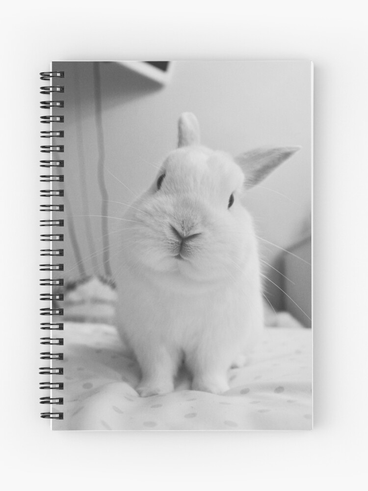 Cuaderno de espiral «fondo de pantalla de conejo blanco y negro» de  roshansingh12 | Redbubble