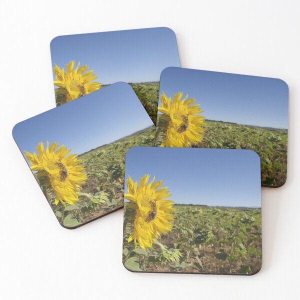 Item preview, survivor of the summer designed and sold by JDfotografie.