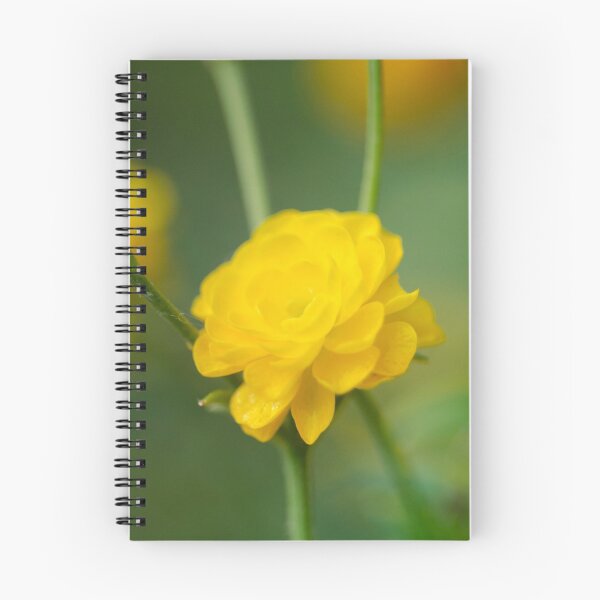 Item preview, Yellow Ranunculus  designed and sold by Efineart.