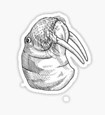 Walrus Sticker