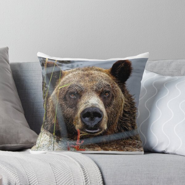 Item preview, Big Brown Bear Stare designed and sold by BeingTherePix.