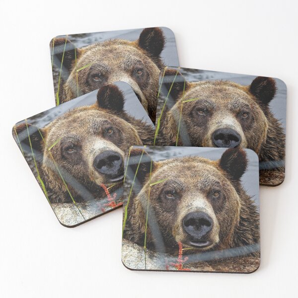 Item preview, Big Brown Bear Stare designed and sold by BeingTherePix.