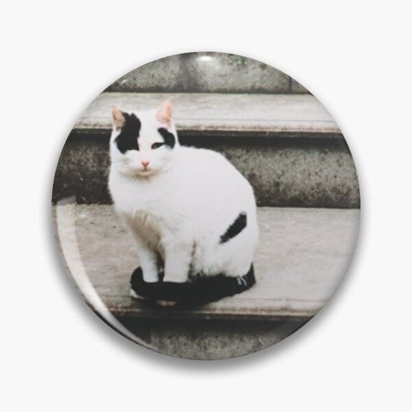 Item preview, Warm day in Istanbul Turkey Cat Kitty stairs designed and sold by Nina Lybimova.