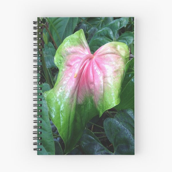 Item preview, Awesome nature blessing all to see designed and sold by Kuulei2you.