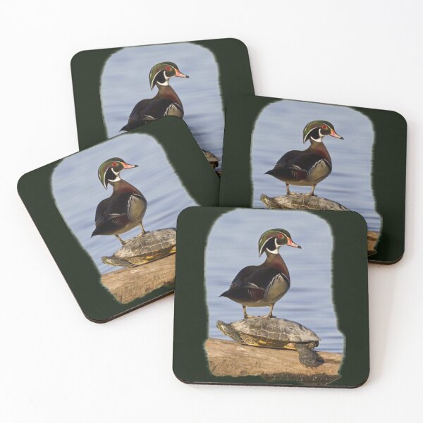 Item preview, DUCK STANDING ON TURTLE designed and sold by THE AMERICAN TEEVANGELIST.
