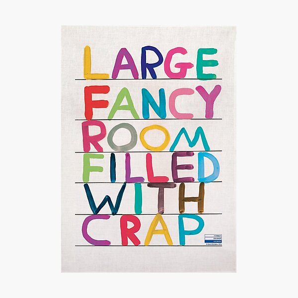 Large Fancy Room Davids Filled With Crap Photographic Print