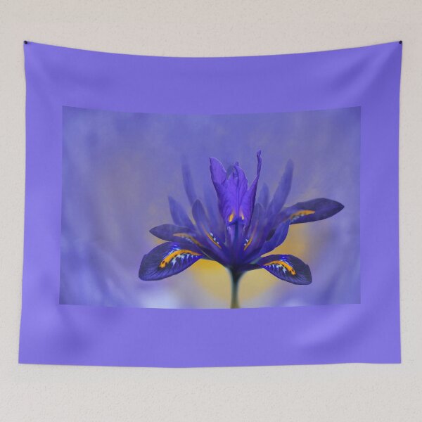 Item preview, Iris Flower designed and sold by Alisonchambers2.