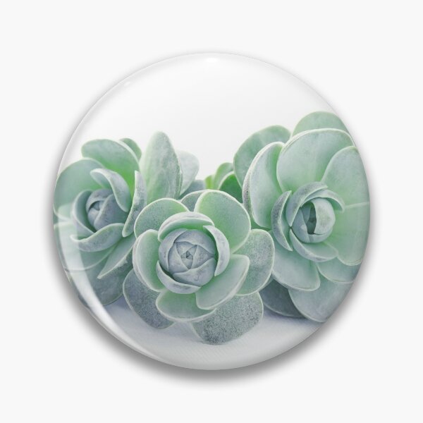 Item preview, Mini Succulent Plant designed and sold by panattar.