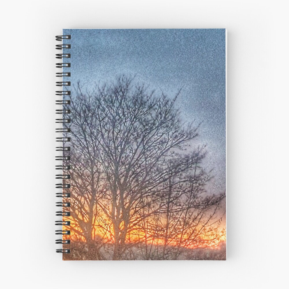 Item preview, Spiral Notebook designed and sold by stephakerman.