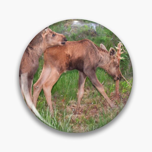 Item preview, Twin Moose Babies designed and sold by Jo Nijenhuis.