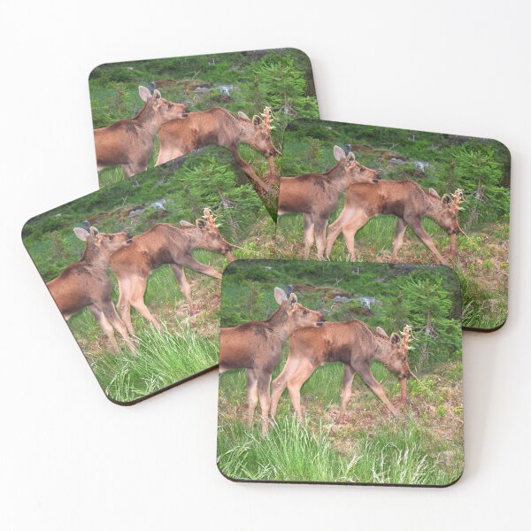 Item preview, Twin Moose Babies designed and sold by Jo Nijenhuis.