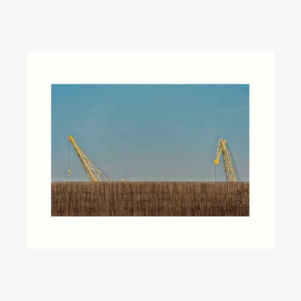 The Cranes Art Print