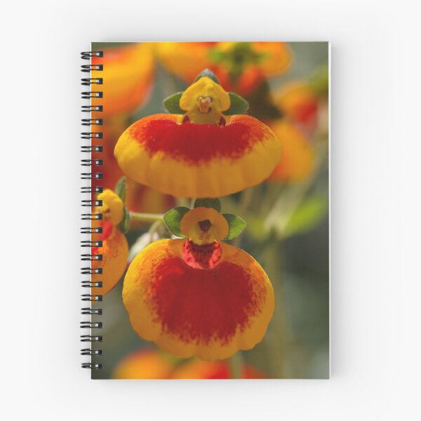 Item preview, Flowers of a lady's purse flower designed and sold by Zosimus.