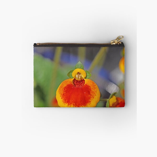 Item preview, Flowers of a lady's purse flower designed and sold by Zosimus.