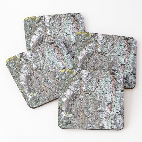 Item preview, Birch bark pattern designed and sold by Treemonk.