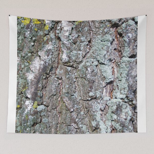 Item preview, Birch bark pattern designed and sold by Treemonk.