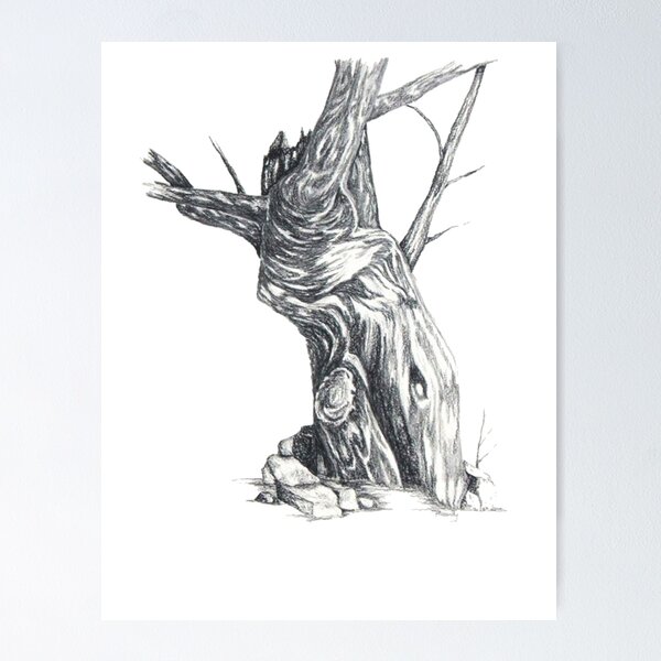 Item preview, Old Tree designed and sold by BrandyHouse.