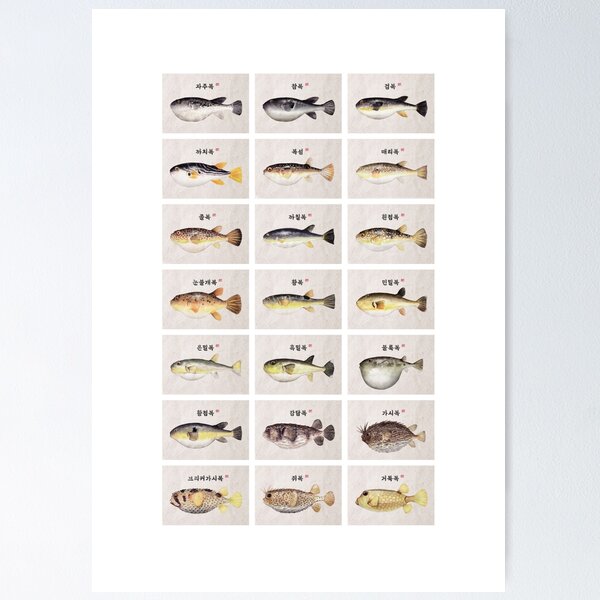 Item preview, Fugu Poster (Korean) designed and sold by moonsoon.