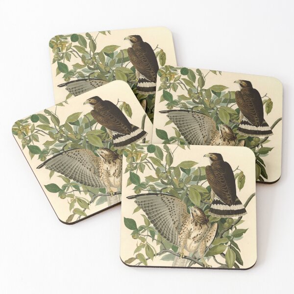 Item preview, Broad-winged Hawk, Birds of America designed and sold by nextstepdesigns.