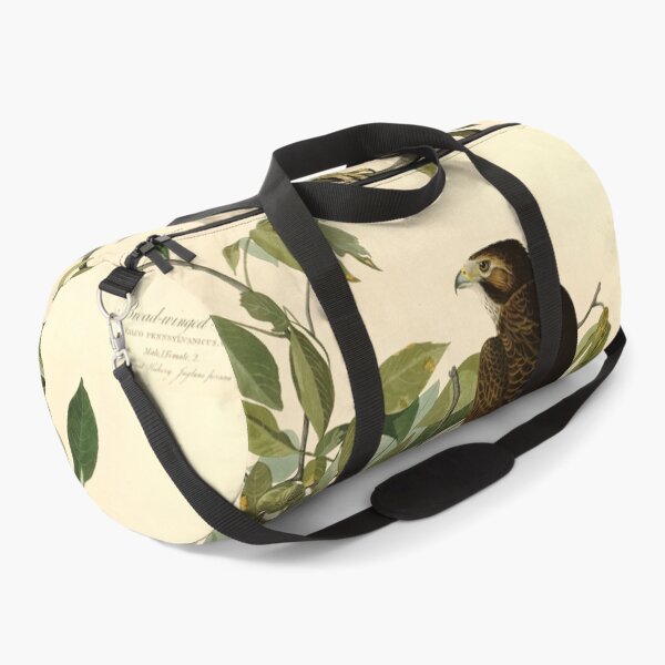 Item preview, Broad-winged Hawk, Birds of America designed and sold by nextstepdesigns.