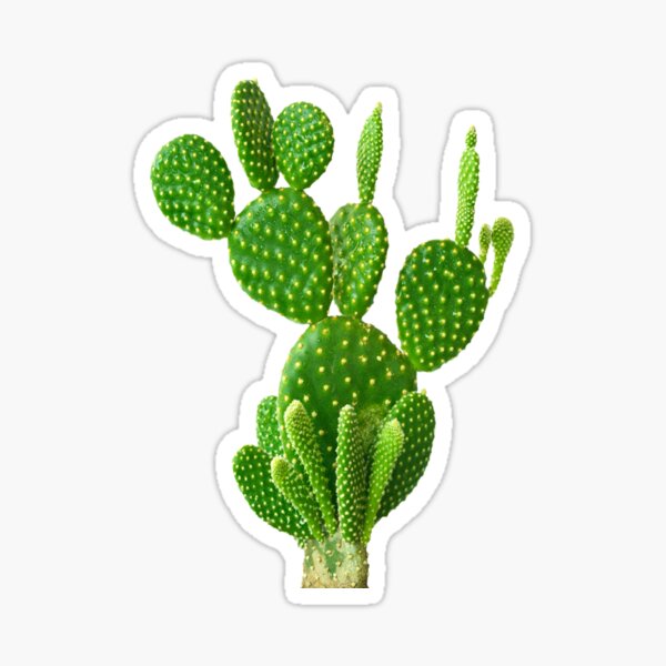 Opuntia Cactaceae Sticker