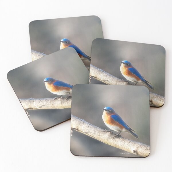 Item preview, Eastern Bluebird designed and sold by Kathy Weaver.