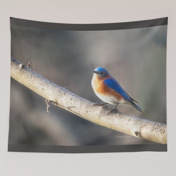 Item preview, Eastern Bluebird designed and sold by Kathy Weaver.