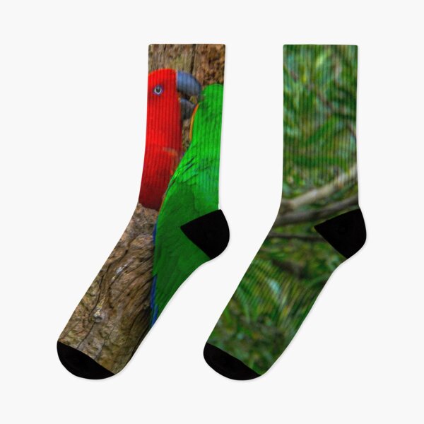 Item preview, Eclectus Parrots designed and sold by Steven Jodoin.