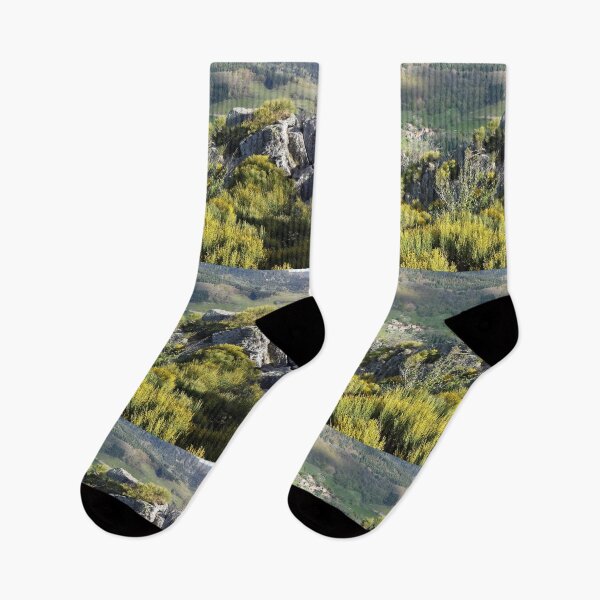 Item preview, landscape designed and sold by KNBS.