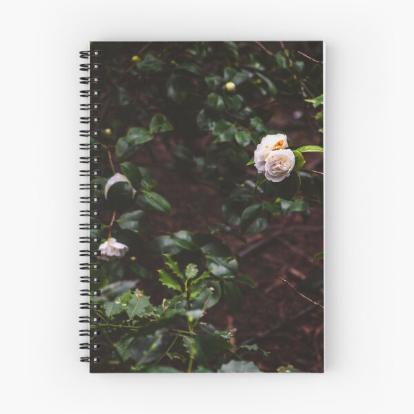 Item preview, RR II // 23.02.21 designed and sold by ByartFotography.