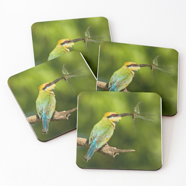 Item preview, Rainbow Bee-Eater, Northern Territory designed and sold by Andrew Goodall.