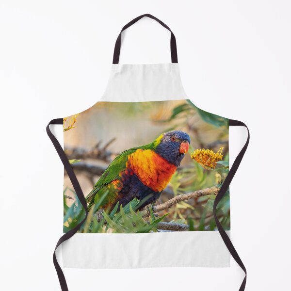 Artikelvorschau, Regenbogen Lorikeet - Australisches Vogelleben entworfen und verkauft von Andrew Goodall.
