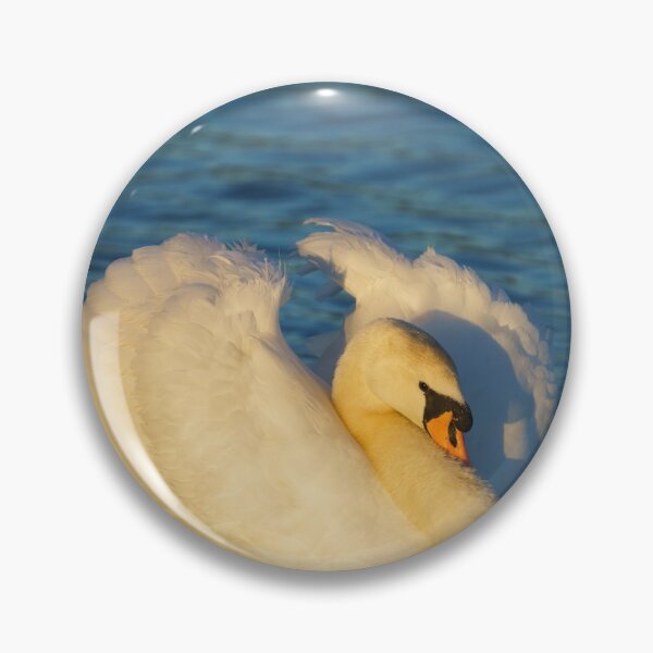 Item preview, Beautiful Swan  designed and sold by rawshutterbug.