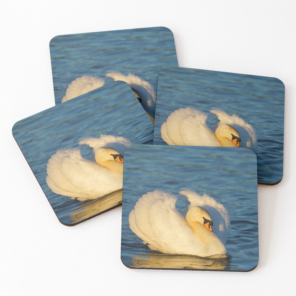 Item preview, Coasters (Set of 4) designed and sold by rawshutterbug.