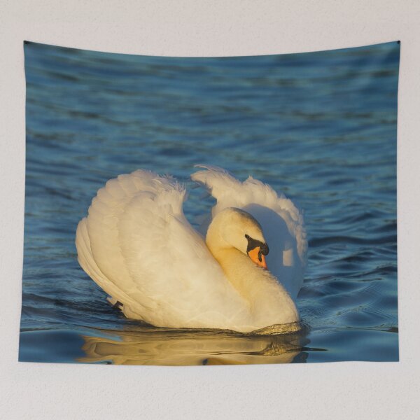 Item preview, Beautiful Swan  designed and sold by rawshutterbug.