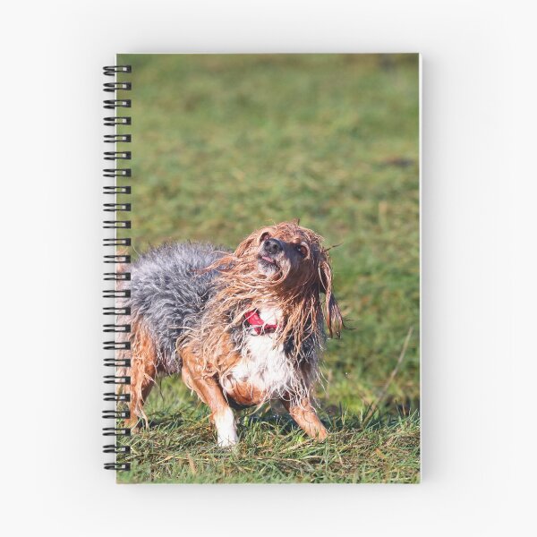 Item preview, Shakedown I designed and sold by GreyFeatherPhot.