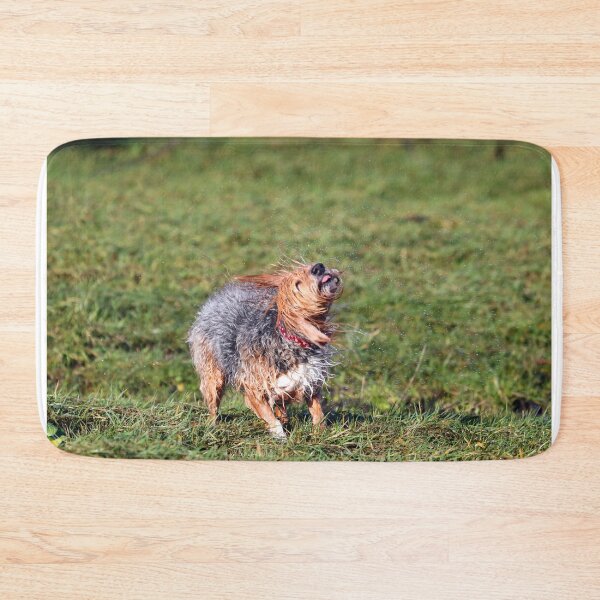 Item preview, Shakedown II designed and sold by GreyFeatherPhot.