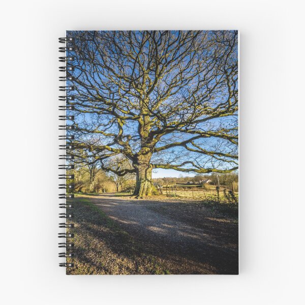 Item preview, Old Tree designed and sold by Joel Woodward.