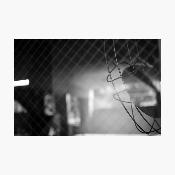 Taunting Fan Photographic Print