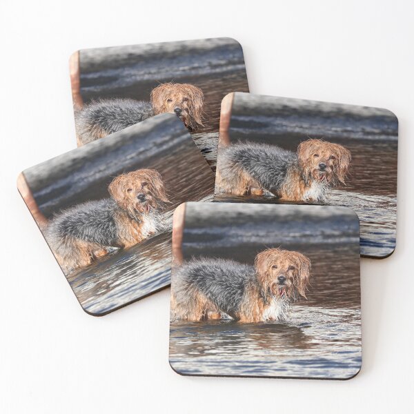 Item preview, Time for a dip designed and sold by GreyFeatherPhot.