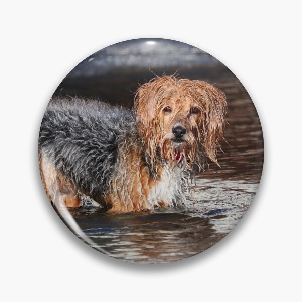 Item preview, Time for a dip designed and sold by GreyFeatherPhot.